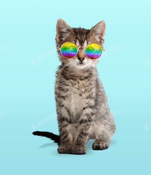 Preview: Funny cat in stylish sunglasses with rainbow lenses on cyan background