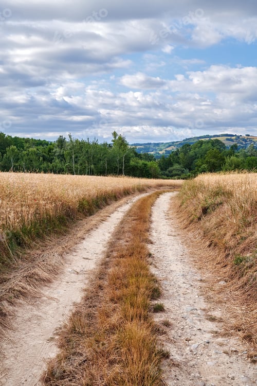 Preview: Countryside, farmland and forest - close to Lyon, France