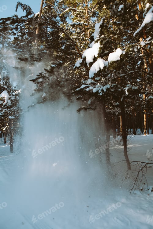 Preview: a man stands in a winter forest under a tree with snow falling