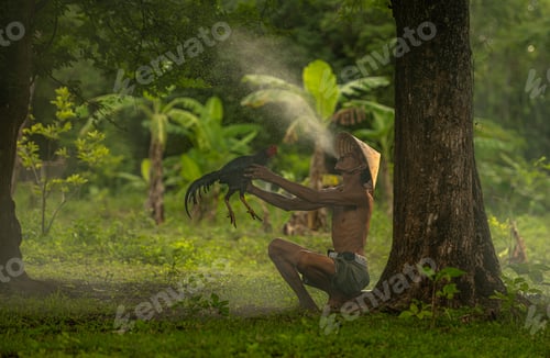Preview: Countryside villagers practicing their cockfighting for competition