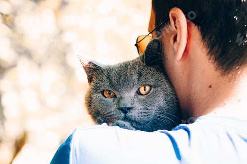 Preview: A man with a cat in his hands on the street lifestyle
