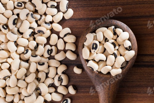 Preview: Black-headed beans, Vigna unguiculata