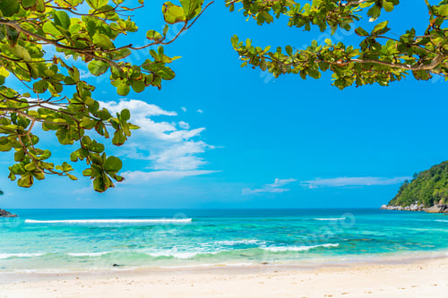 Preview: Beautiful tropical beach sea ocean with coconut and other tree around white cloud on blue sky