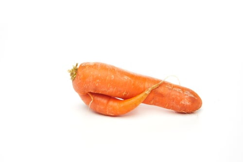 Preview: Fresh natural ugly raw carrot isolated on white background