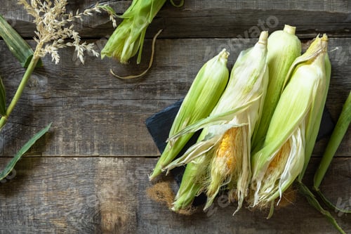Preview: Healthy ripe corn on a wooden kitchen table.
