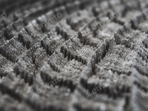 Preview: Close up of tree ring