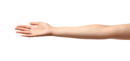Preview: Young woman holding something on white background, closeup