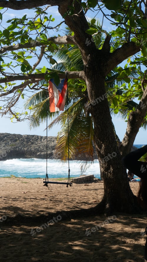 Preview: Vertical of a swing hanging on a green tree with Cuban flag on the beach on a sunny day