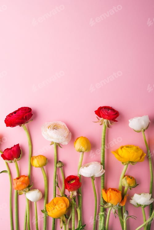 Preview: Colorful flowers on a pink background.