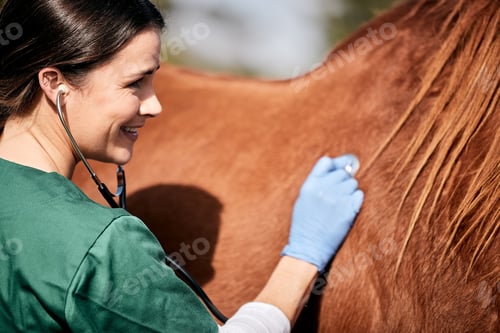 Preview: Vet, stethoscope and horse farm with wellness, healthcare and support with animal in countryside. N