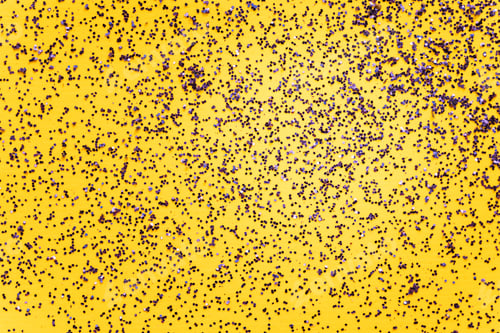 Preview: Background of shiny sparkles scattered on a yellow background