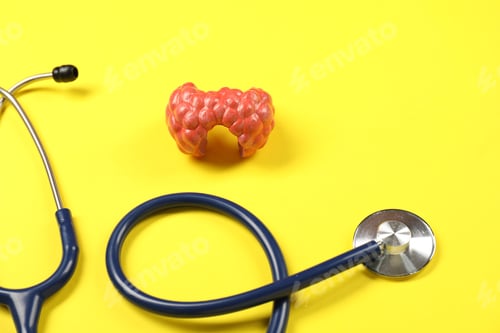 Preview: Endocrinology. Stethoscope and model of thyroid gland on yellow background, closeup