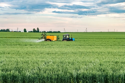 Preview: Farmer spraying wheat field with tractor sprayer at spring season