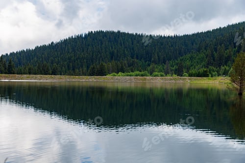 Preview: Lake with clear water and stone shore in spruce forest with fir trees against a daytime sky