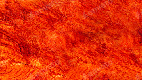Preview: Real Wood has tiger