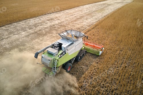 Preview: Aerial view of combine harvester working during harvesting season on large ripe wheat