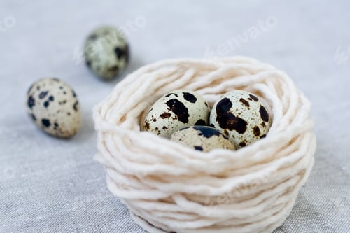 Preview: Three quail eggs in the nest with the thread