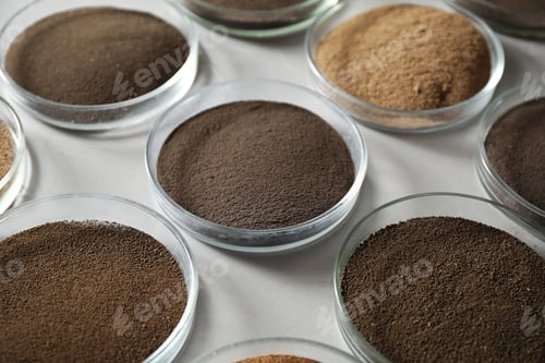 Preview: Petri dishes with soil samples on grey table. Laboratory research