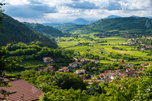 Preview: Beautiful Vineyards and Verdant Landscape in Vipava Valley, Slovenia
