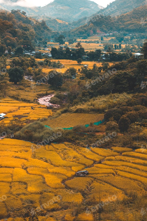 Preview: rice field at Mae Cham Chiangmai Northern Thailand