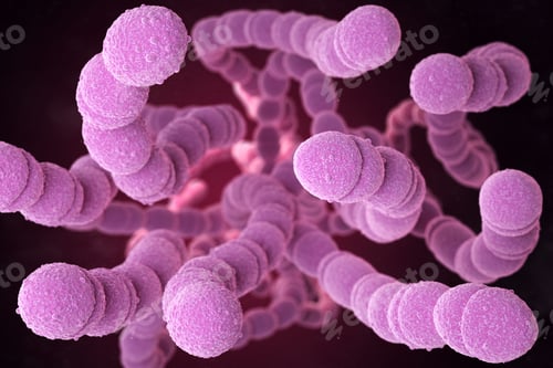 Preview: Streptococcus Pneumoniae Bacteria