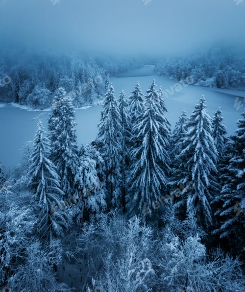 Preview: Scenic view of frozen ice lake and by snowy trees at sunset