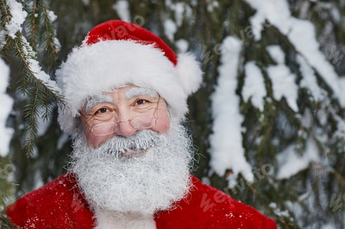 Preview: Father Christmas Portrait