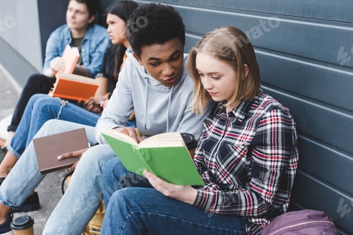 Preview: african american and caucasian teenagers sitting, talking and reading book