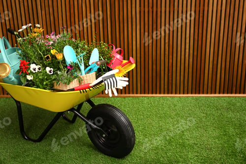 Preview: Wheelbarrow with flowers and gardening tools near wooden wall. Space for text