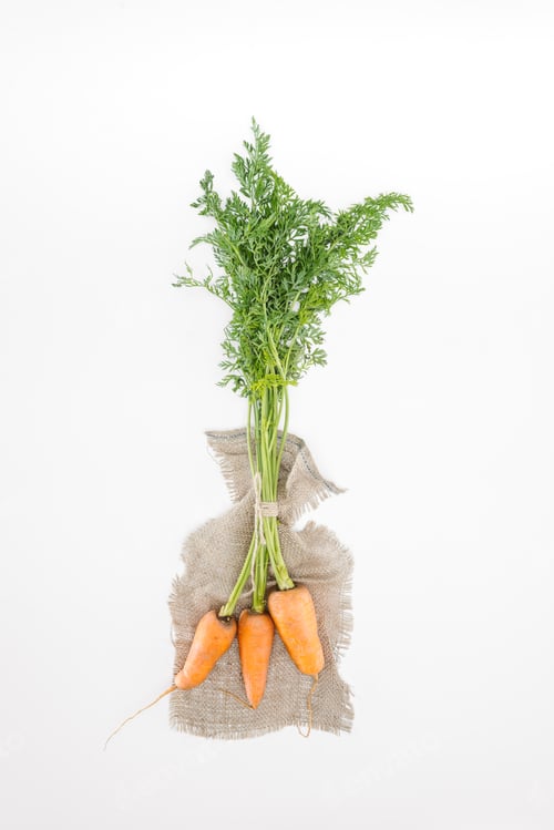 Preview: top view of fresh carrots tied with rope on sackcloth isolated on white
