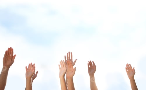 Preview: Group of volunteers raising hands outdoors, closeup