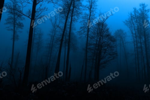 Preview: darkness, forest, horror, spooky