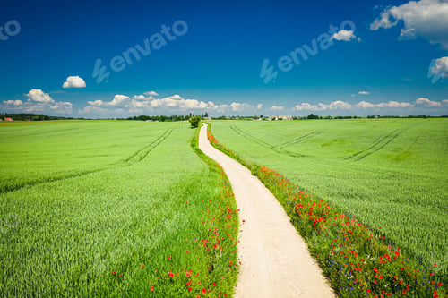 Preview: Stunning country road and green field, in summer, aerial view