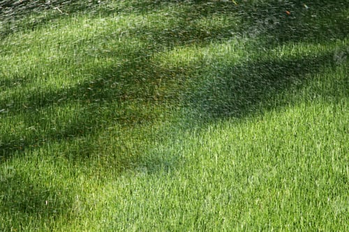 Preview: lawn watering