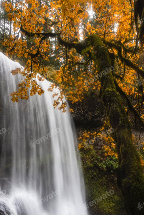 Preview: Waterfall and autumn leaves