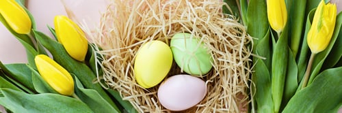 Preview: Stylish background with colorful easter eggs isolated on pastel pink background with yellow tulip