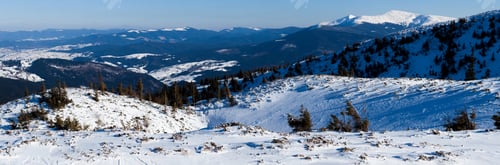 Preview: Beautiful snow-covered slope with fir trees