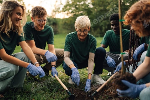 Preview: Happy volunteers planting a tree in the park