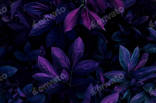 Preview: natural abstraction background banner leaves neon colors