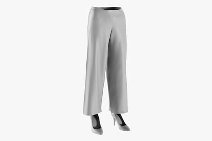 Preview: Women's Wide-Leg Pants with Stiletto Heel Shoes