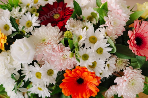 Preview: Abstract background of flowers. Close up