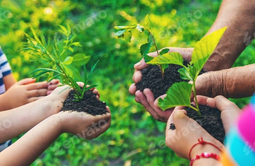 Preview: Grandmother and child hold a tree sprout in their hands. Selective focus.