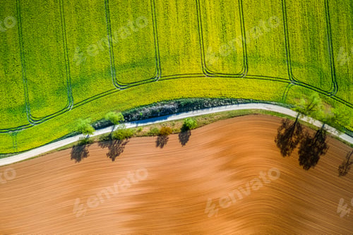 Preview: Yellow and green rape fields in the countryside, aerial view