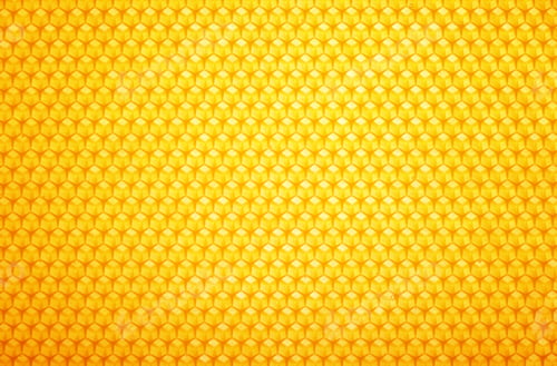 Preview: Fresh comb honey background texture