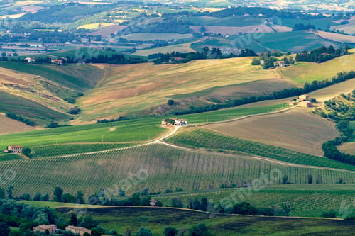 Preview: Rural landscape near Ostra Vetere and Cingoli, Marche, Italy