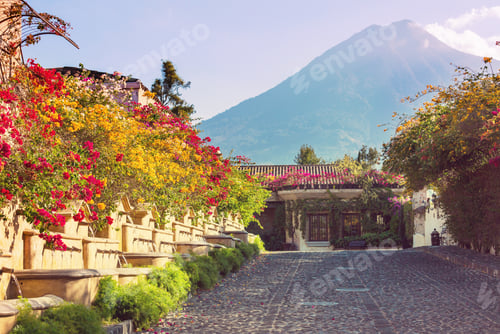 Preview: Antigua
