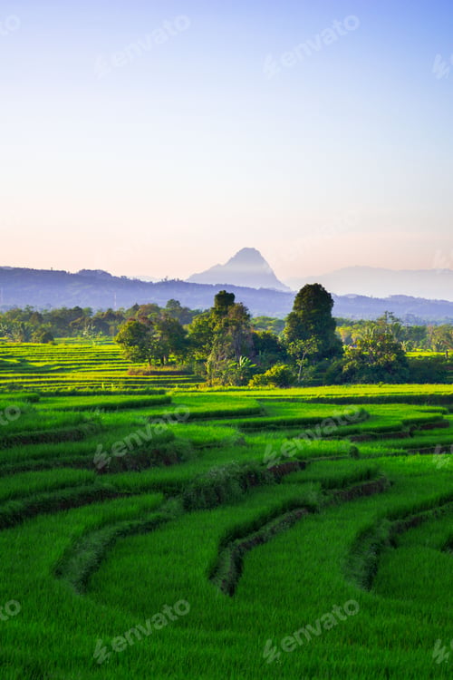 Preview: beautiful morning view from Indonesia of mountains and tropical forest