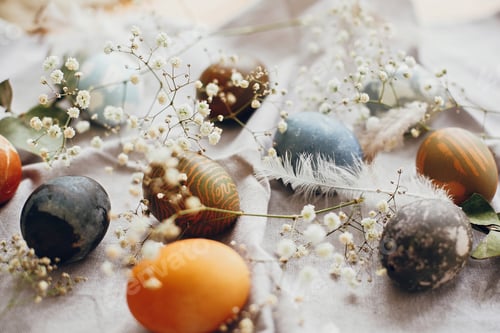 Preview: Natural dyed colorful easter eggs with spring white flowers and feathers