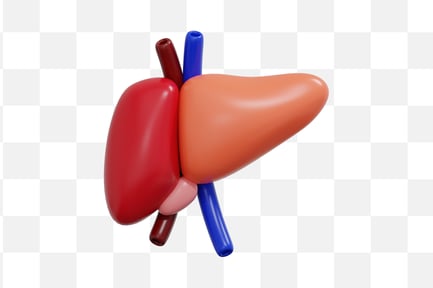 Preview: Liver Anatomy 3D Icon