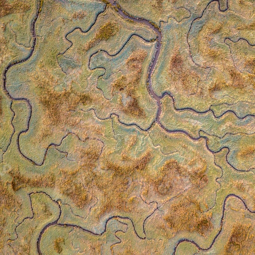 Preview: Aerial view of tidal marshland sq